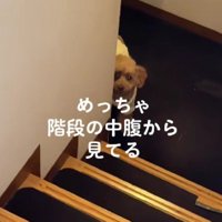 家族を覗き見！！