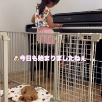 お姉ちゃんのピアノ…