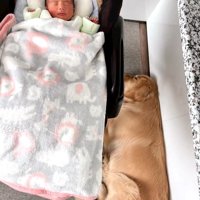 リリーちゃんと弟くんの初対面9