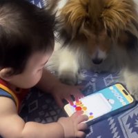 ゲームを楽しむ赤ちゃんを見守る犬