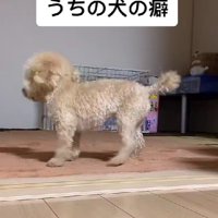「悲しいお知らせがあります」