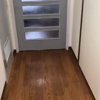 帰宅した飼い主さん