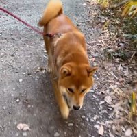 山でハイキング中♪