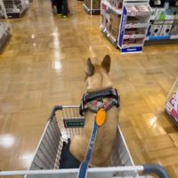 落ちてしまっても…