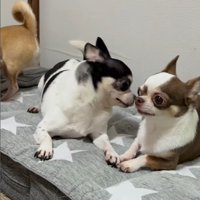 うめちゃんの遊びの誘い方3