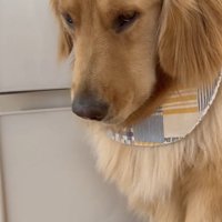 悲壮感は全開…