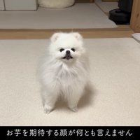 「え！お芋くれるの！」