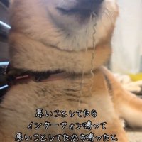 イタズラ中のぬん君2
