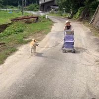 おばあちゃんと…
