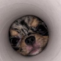 あまりにもぴったり