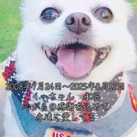 たくさんの思い出を胸に…