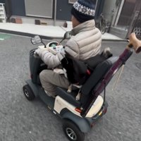 人と並んでシニアカーに乗る犬