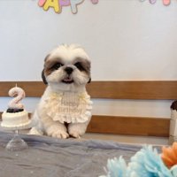 お誕生日