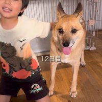 おふとんちゃんのペースを大切に