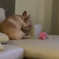「どうしたんだろう…？」