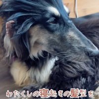 個性的なツンツンヘア！