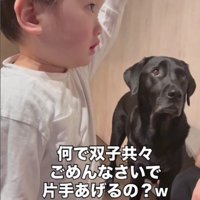 思わずかばいたくなってしまった