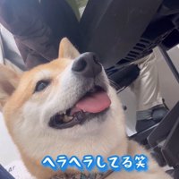 フクちゃんはニコニコ♪