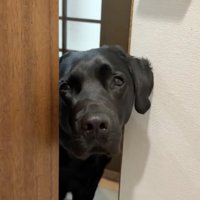 「なんでダメなの？」