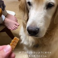 オヤツを見るロイくん