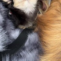 カートで散歩してたら…