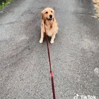 立ち上がるハッピーちゃん