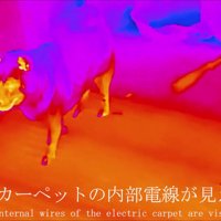 口と脚は電熱線並み