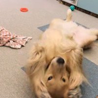 ゴキゲンダンスを披露♪