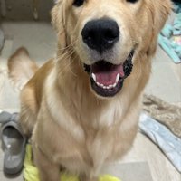 ニコニコ