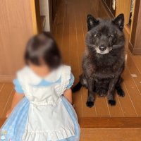 一休くんも妹ちゃんも寂しそう