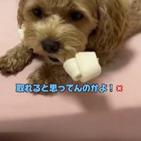 「これは私の！！」