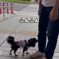 最終チェック中