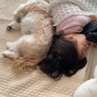 コロくんとチチちゃんと女の子の日常