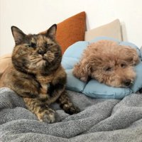 一緒にお昼寝できて満足そうなぼんちゃん♪