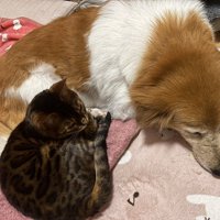 仲良し