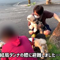 パパさんのお膝に避難