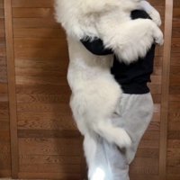 大きな体の赤ちゃんに♡