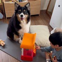 頼もしいレアちゃん