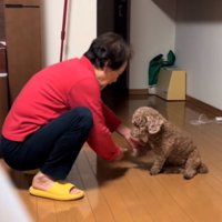 おかわりを教える