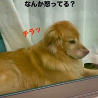 「なんか怒ってる？」