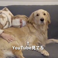 ずっとそばにいます