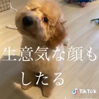 生意気そうな顔にキュン♡