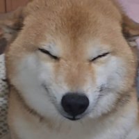 とっても嬉しそう♡