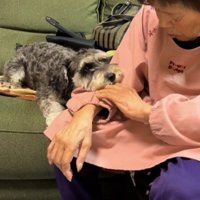 おばあちゃんの腕にあごを乗せる犬