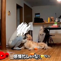 感情が忙しいパパ