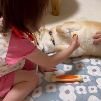 すずちゃんに注射をする娘さん