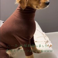 モードな秋服にチャレンジ！！