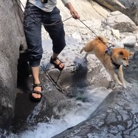 ナラちゃんとソラくんの沢登り3