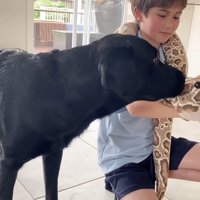 怒られる人形を見たえんぞう君の反応4