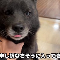 「赤ちゃんの面倒を見たくて…」